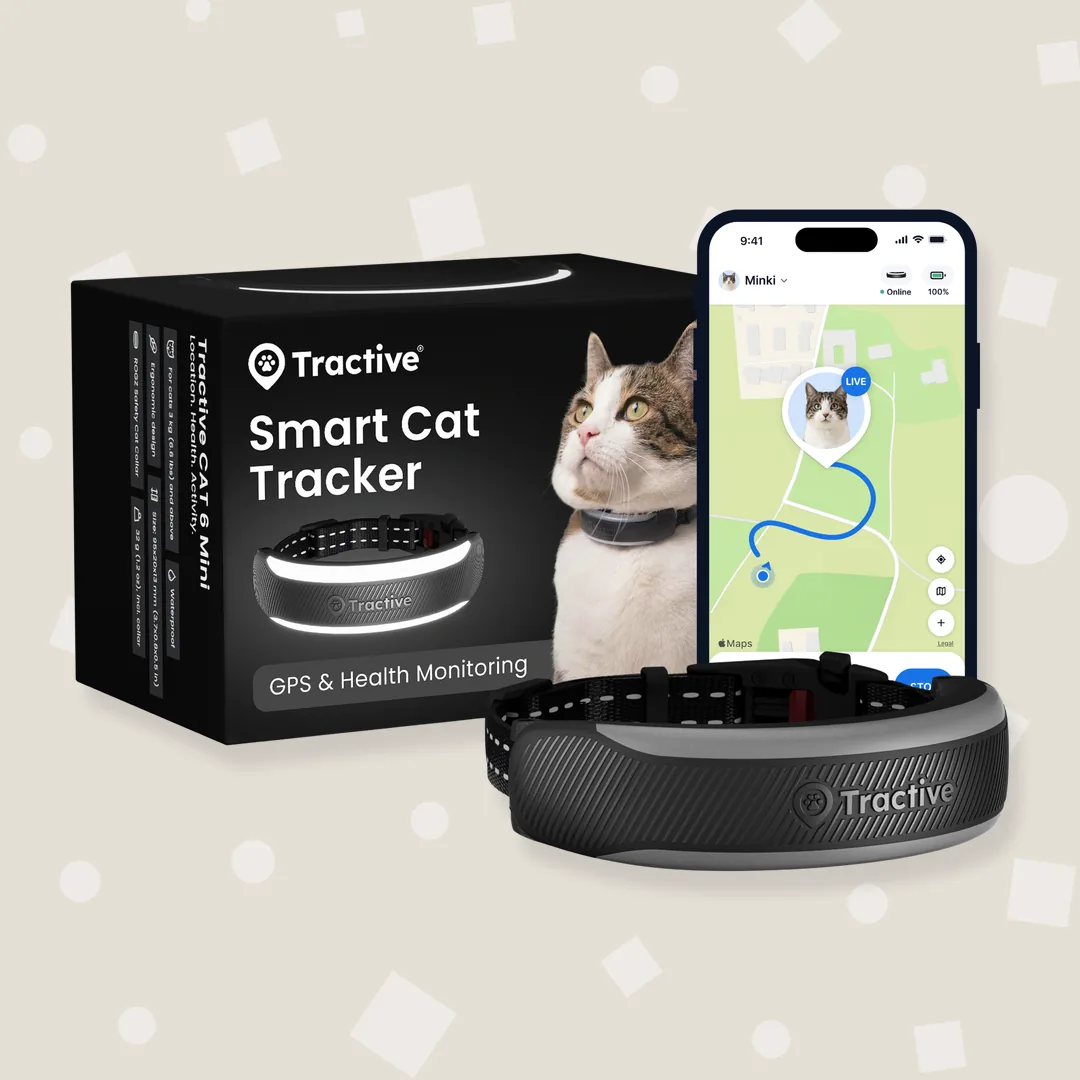 GPS-tracker